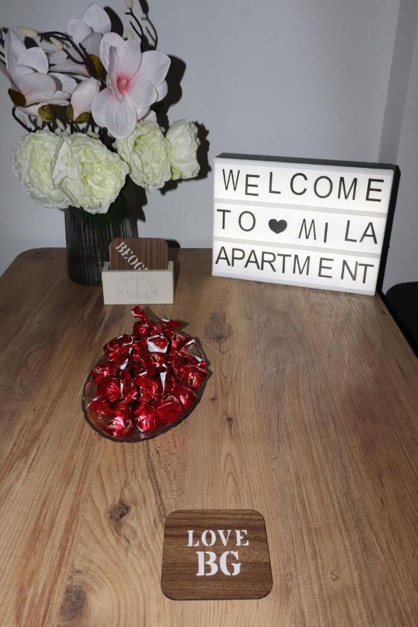 Apartman Mila 21 Bělehrad Exteriér fotografie